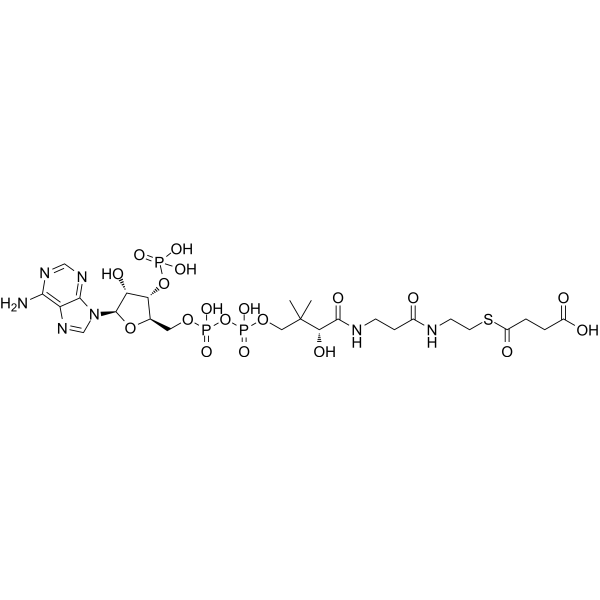 Succinyl CoA 604-98-8